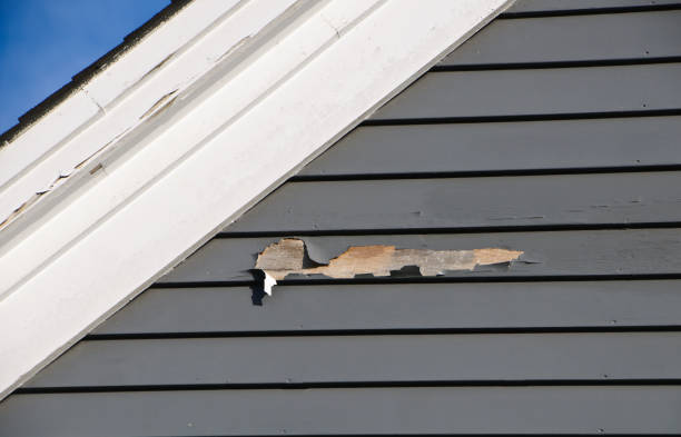 Best Siding Maintenance  in Middletown, NY